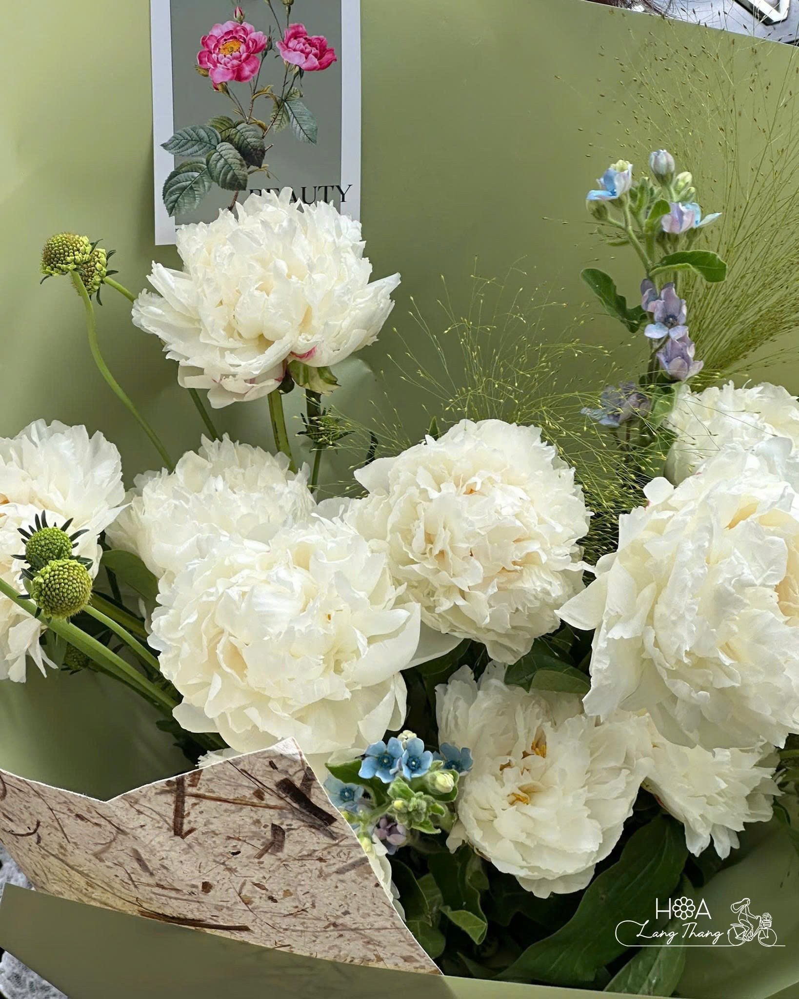 Bouquet gồm hoa peony trắng và hoa baby, cắm tao nhã, thích hợp tặng trong dịp đặc biệt