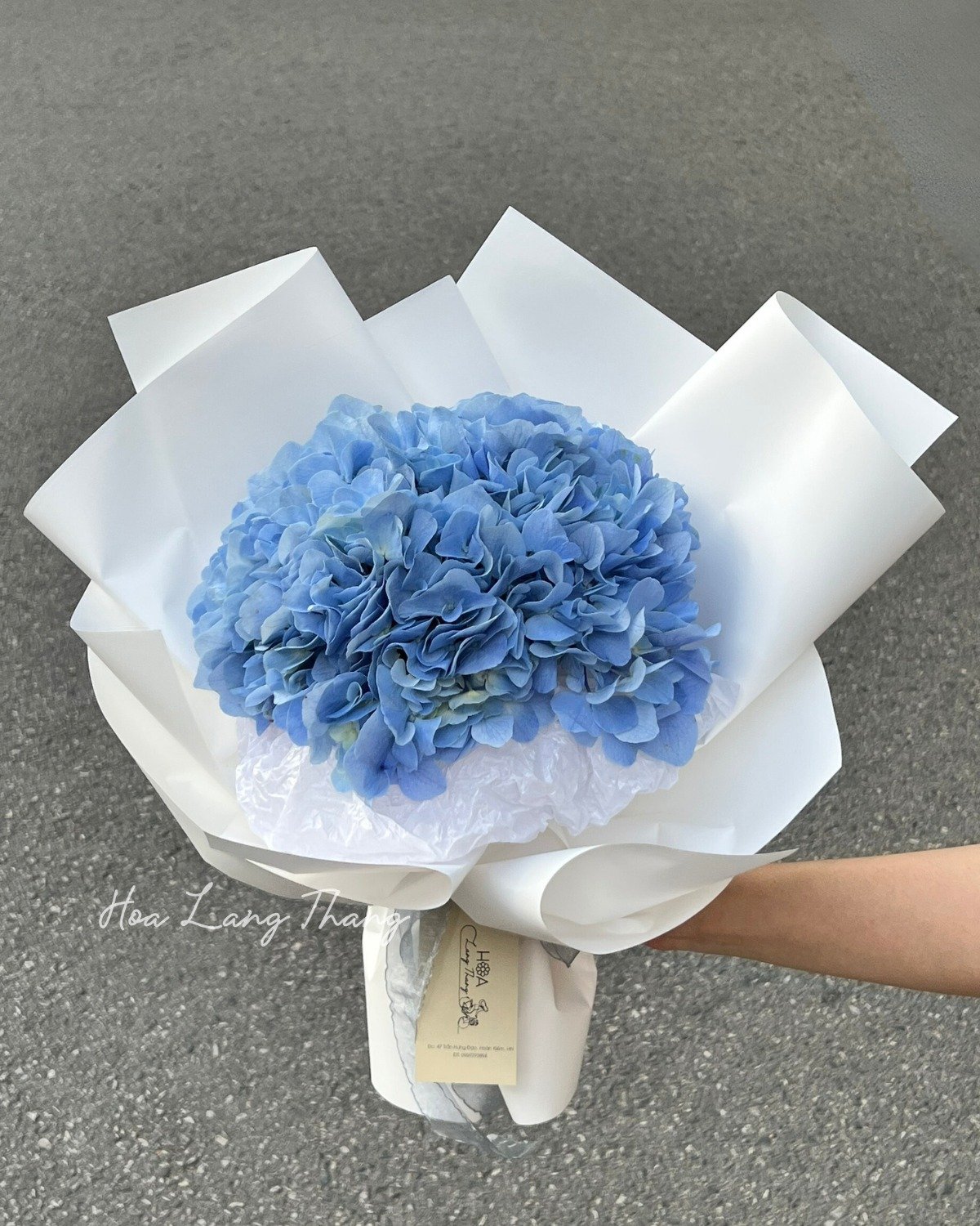 Bó hoa cẩm tú cầu màu xanh đẹp mắt từ shop Hoa Lang Thang, phong cách cắm hiện đại