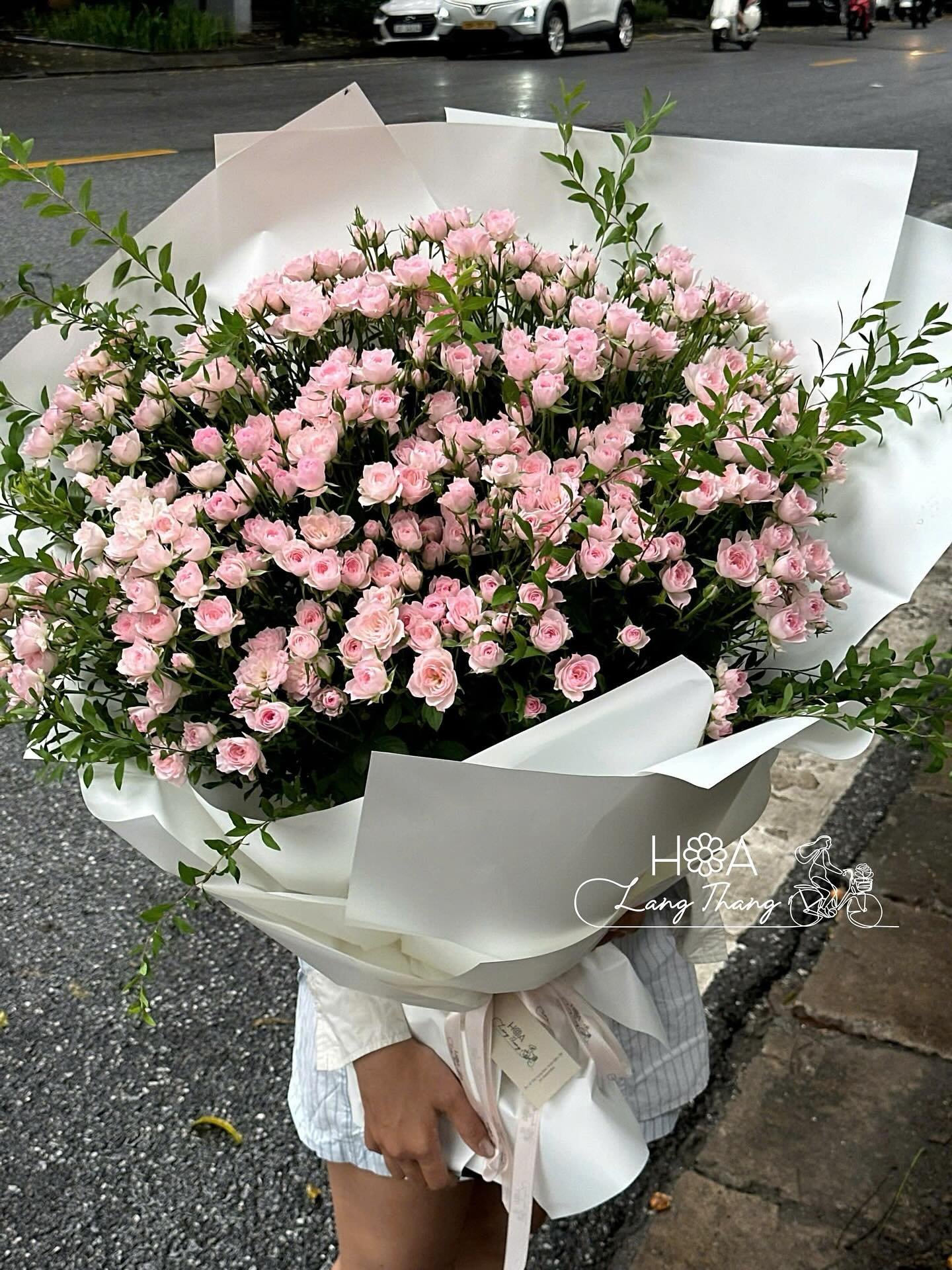 “Những bông hồng nhỏ xinh, dịu dàng như lời thì thầm của yêu thương