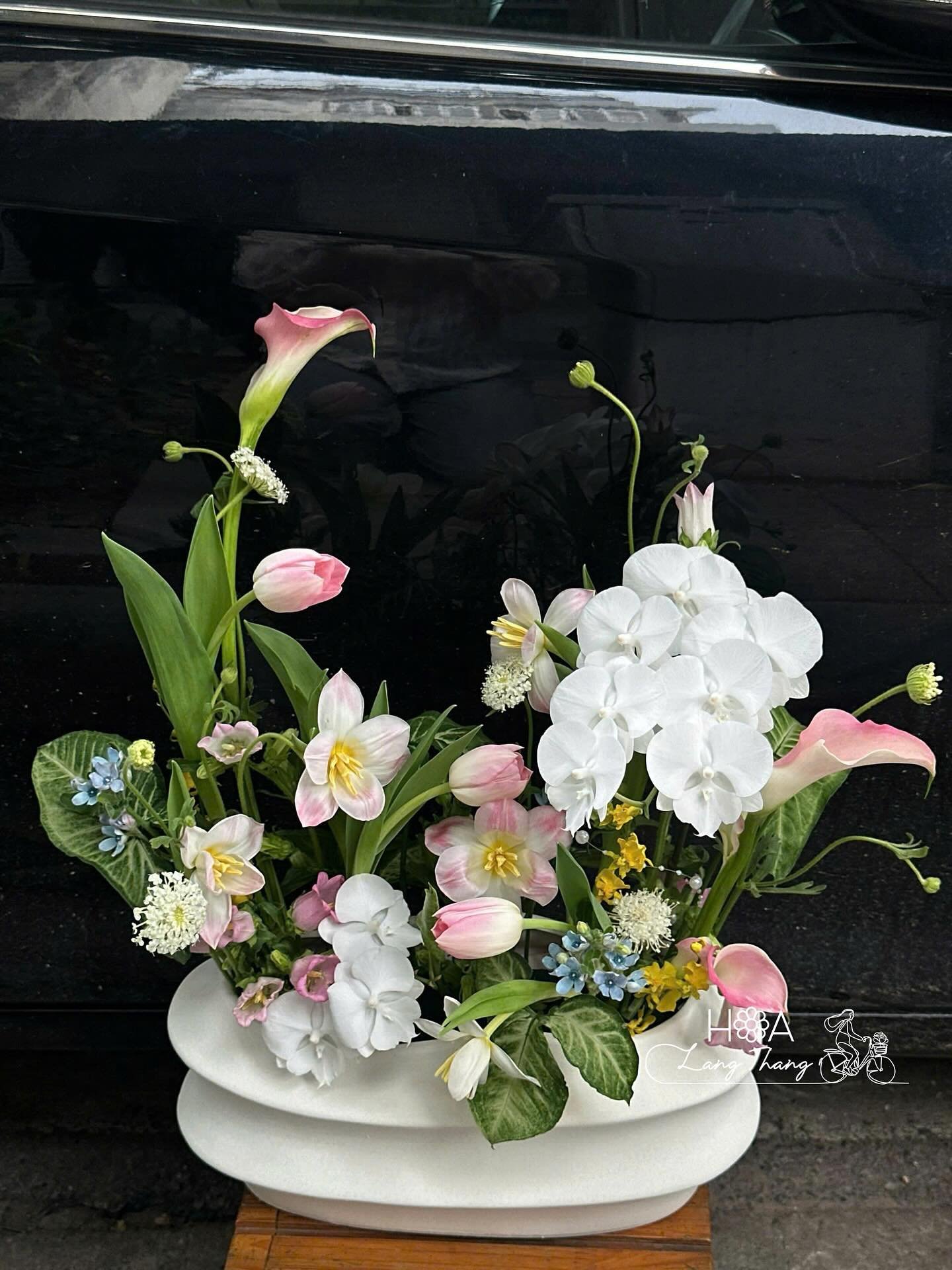 Khi những cánh lan trắng thanh khiết hòa cùng sắc hồng ngọt ngào của tulip và cally, bình hoa trở thành bản giao hưởng của sự