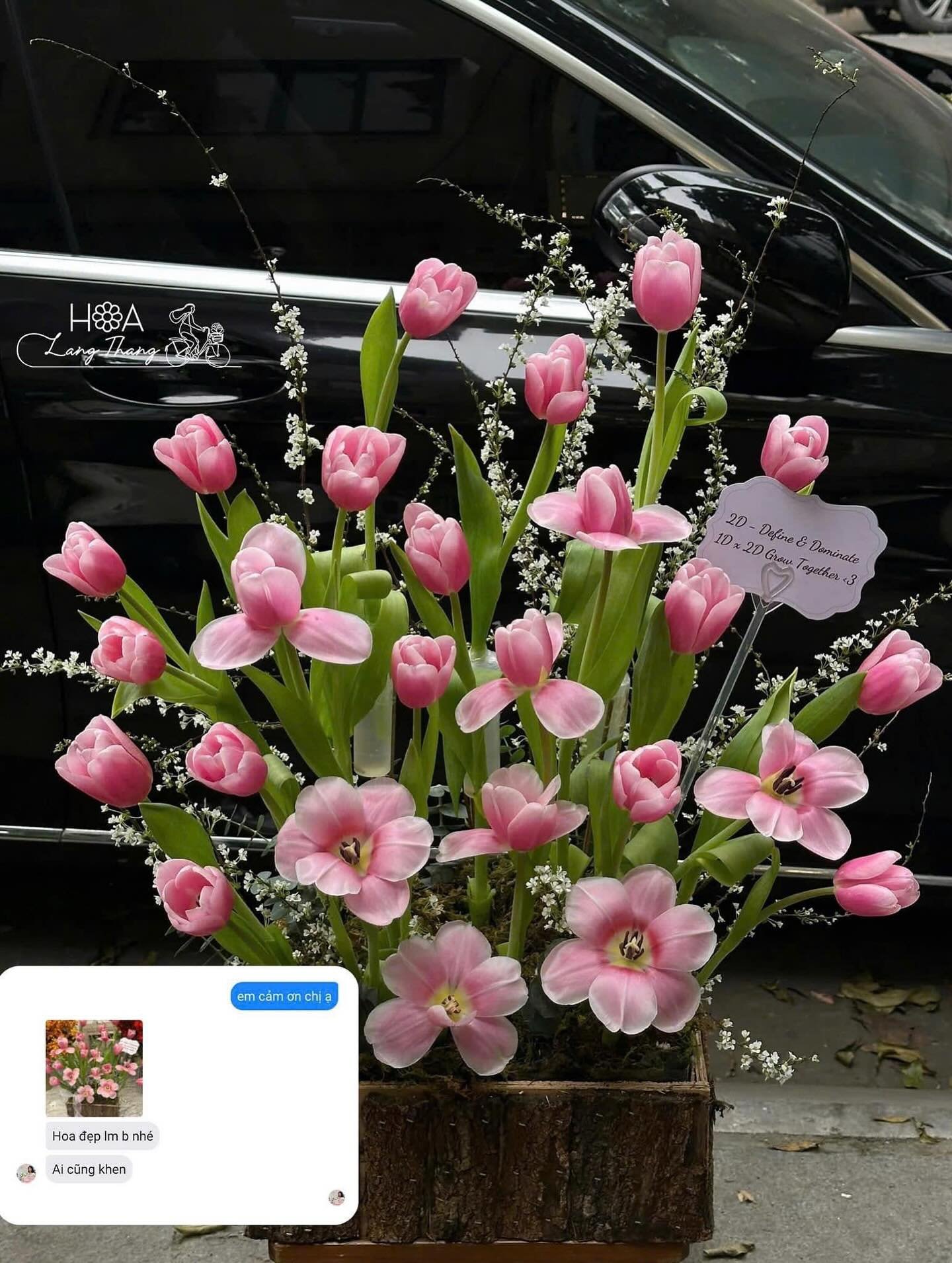 <a href=