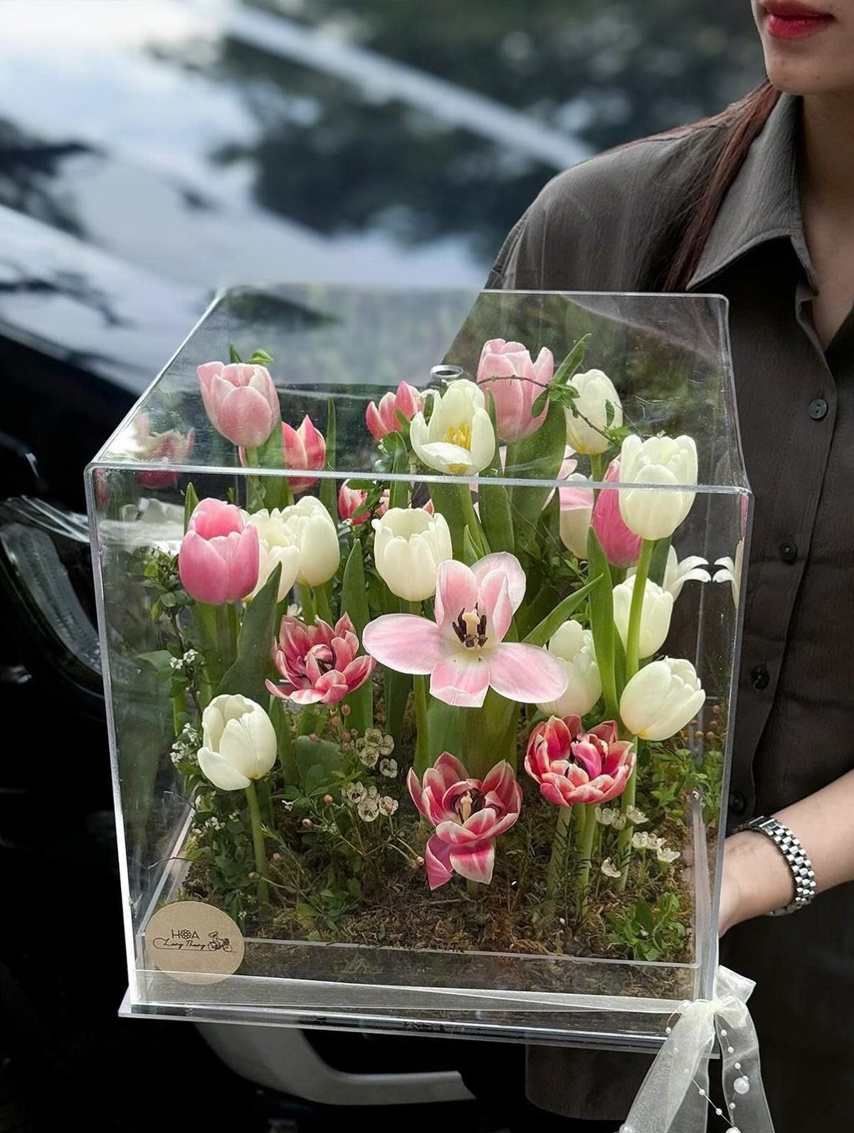 Bình hoa trong suốt cắm <a href=