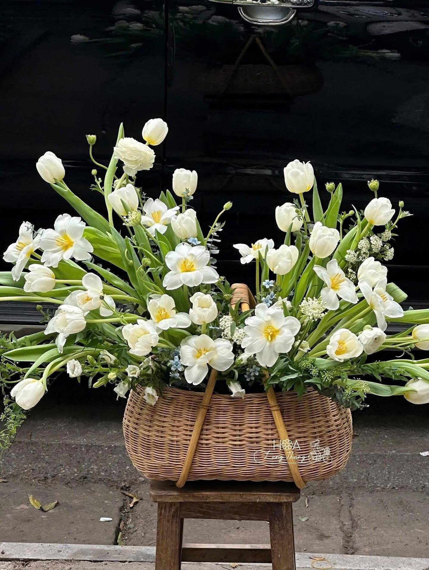 Giỏ hoa với tulip trắng và hoa baby, kiểu cắm dạng rủ