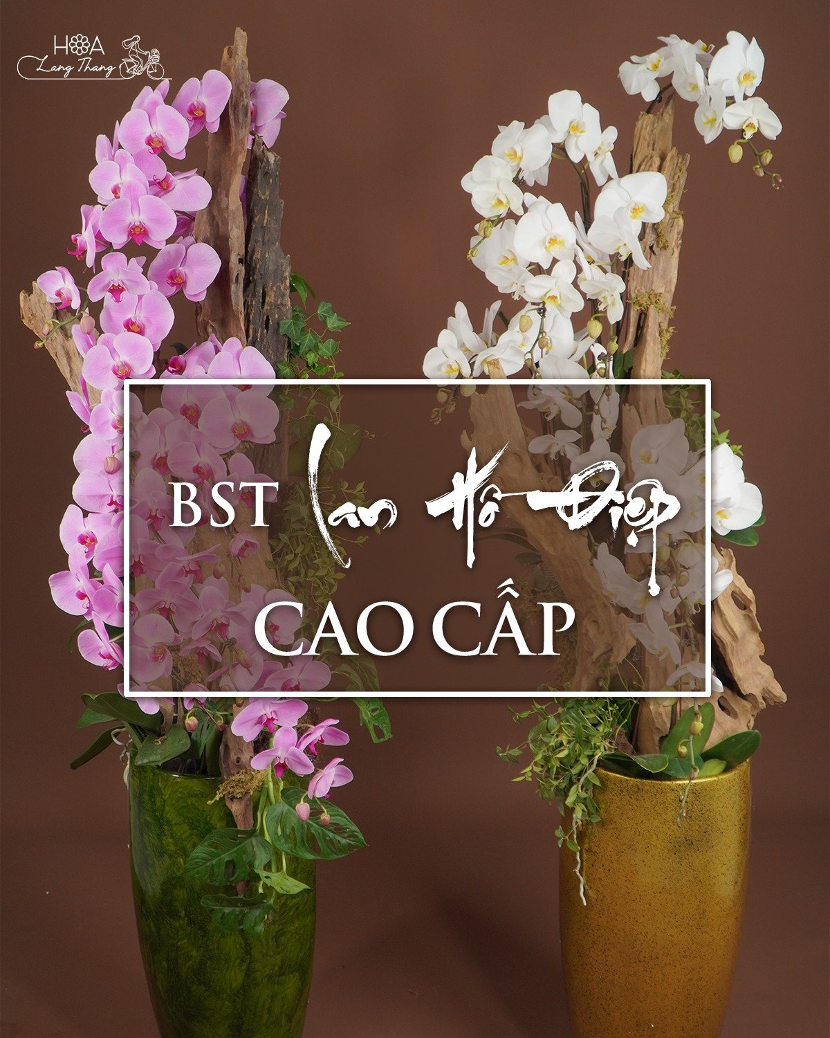 Bình hoa cao cấp với hoa lan hồ điệp trắng và tím, kiểu cắm sang trọng