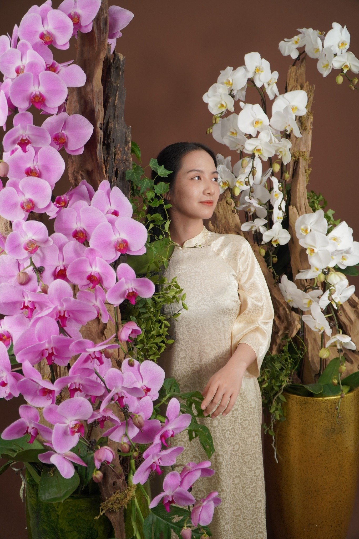 Cô gái bên hoa lan hồ điệp trắng và hồng, kiểu cắm nghệ thuật