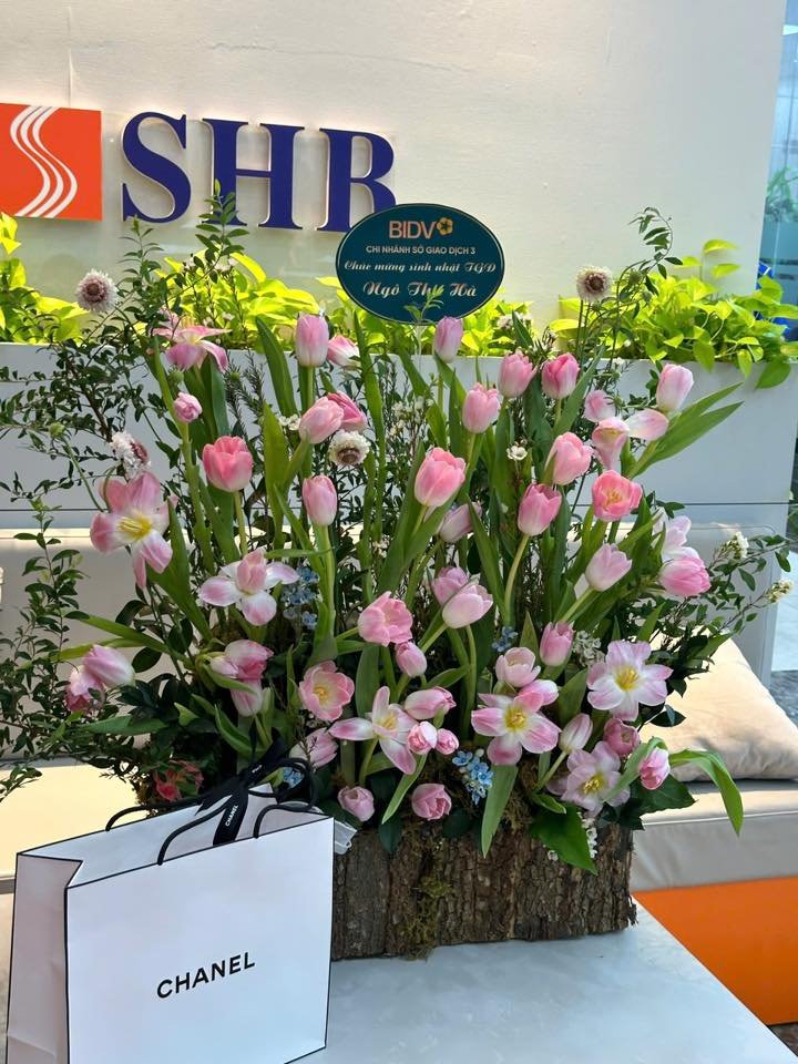 Vườn tulip rực rỡ – lời chúc cho một khởi đầu mới tràn đầy năng lượng và thành công 🌿