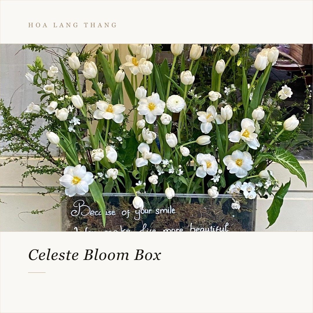 Bình hoa tulip trắng và hoa baby trong kiểu cắm sang trọng, thêm ý nghĩa từ nụ cười