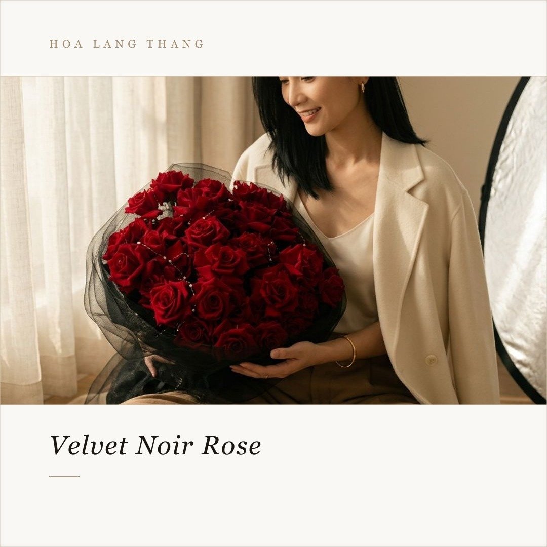 Bó hoa hồng đỏ Velvet Noir đẹp và sang trọng