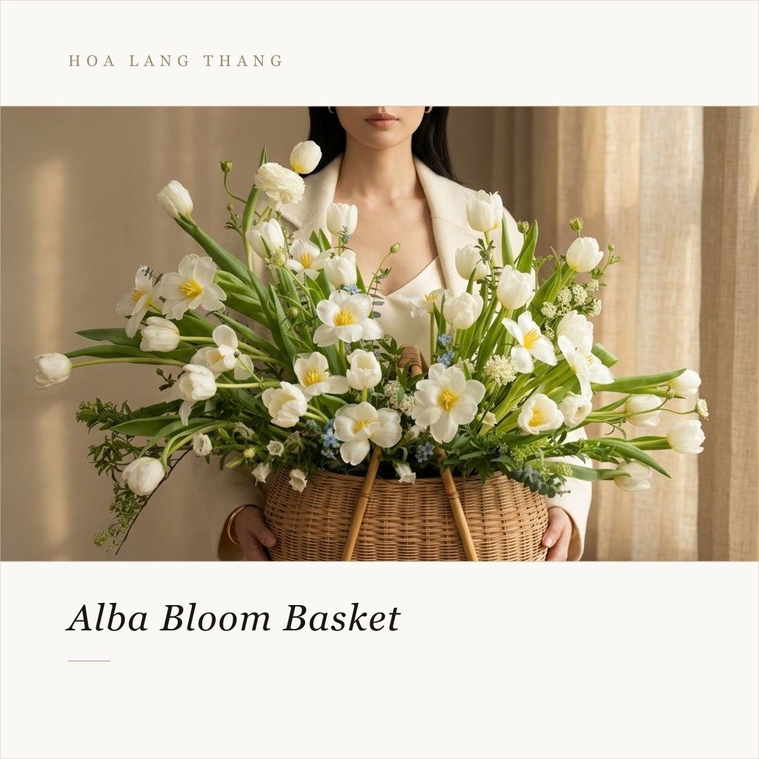 Giỏ hoa Alba Bloom với tulip và hoa lan trắng, phong cách cắm hiện đại