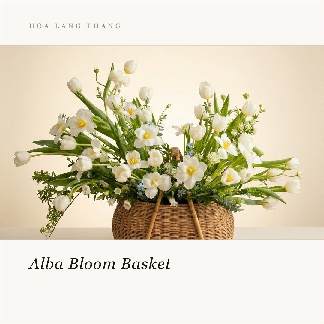 Giỏ hoa Alba Bloom Basket với hoa tulip trắng và hoa thuy tien, kiểu cắm trang nhã
