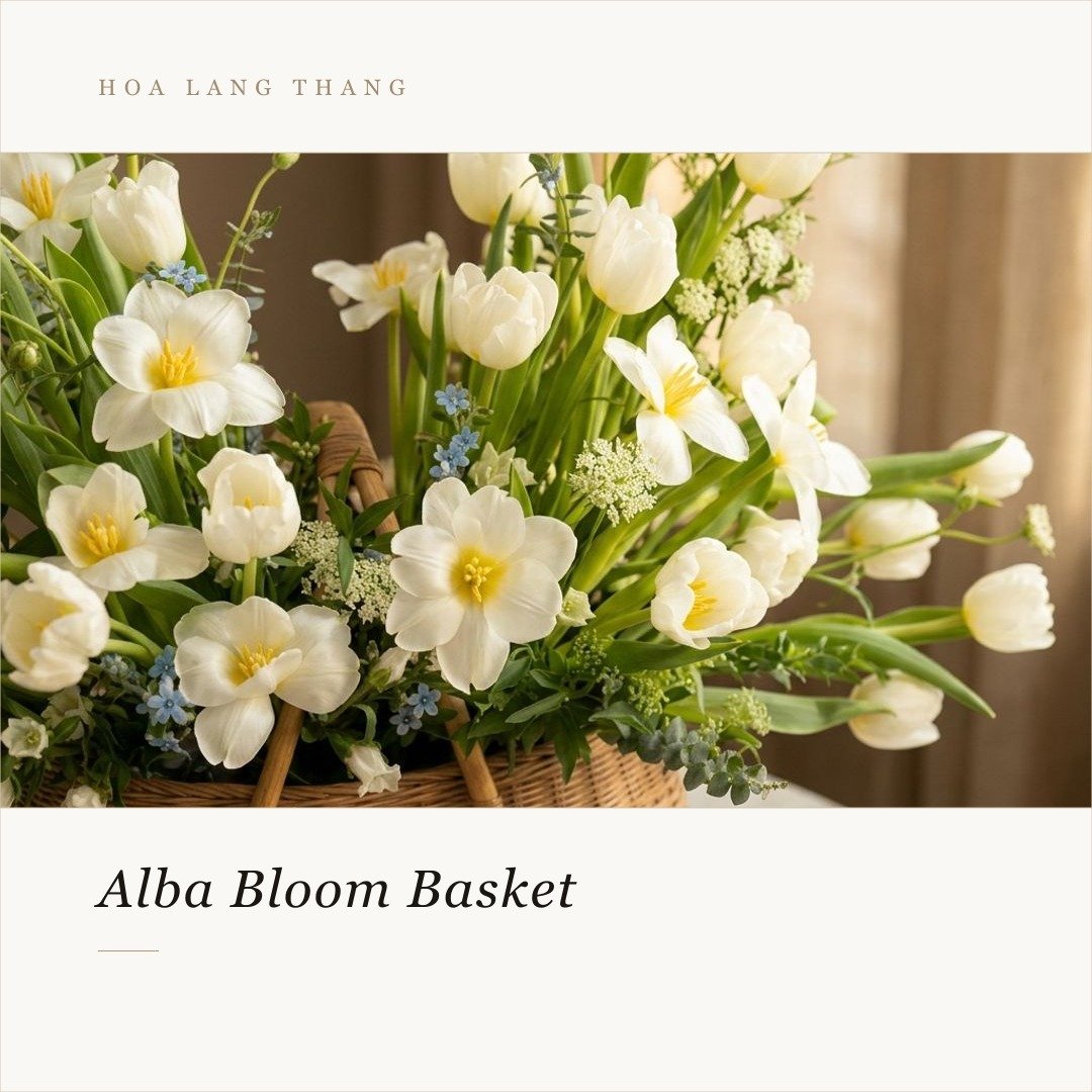 Giỏ hoa Alba Bloom với hoa tulip trắng và các loại hoa nhỏ khác, cắm tươi sáng