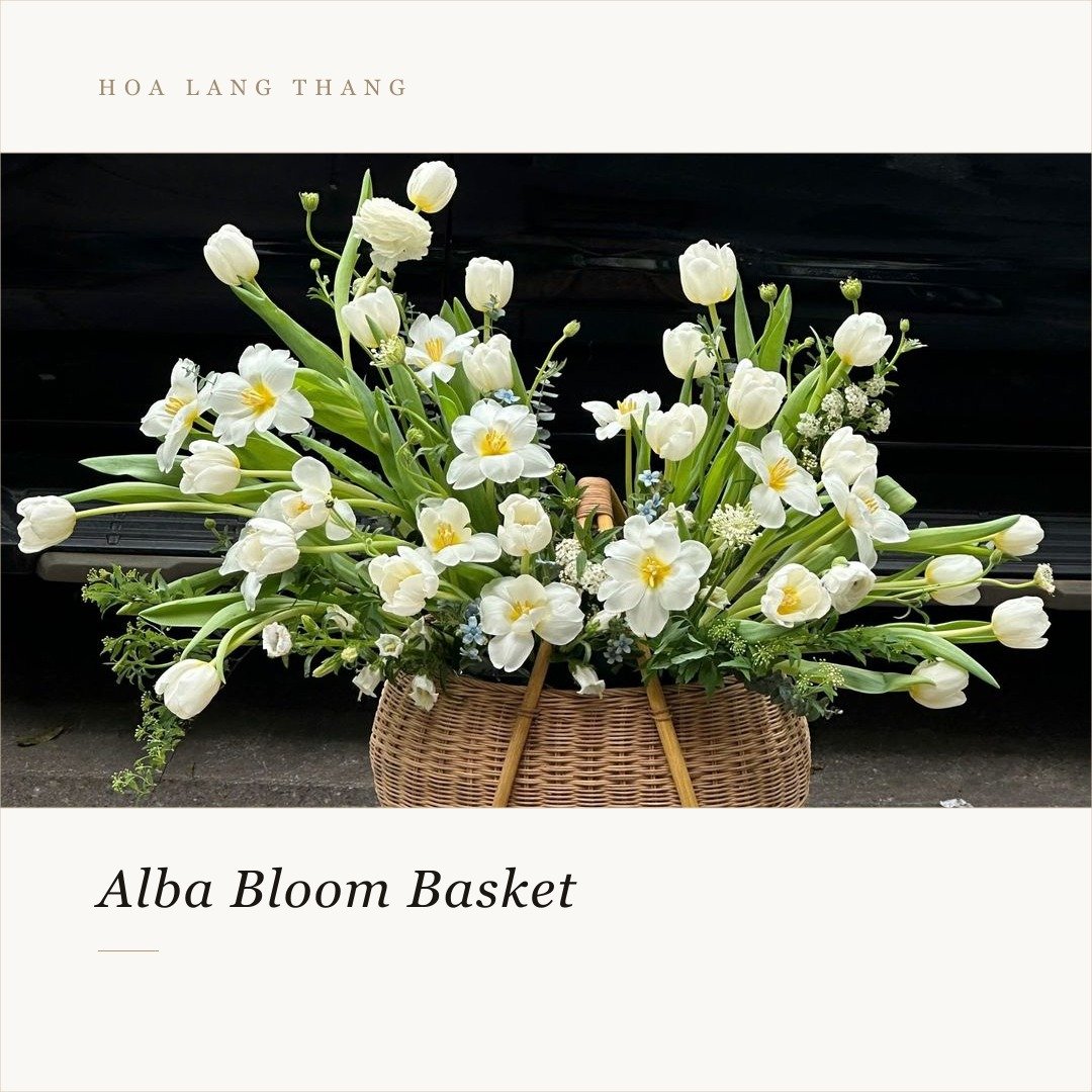 Giỏ hoa Alba Bloom với tulip trắng và hoa nhỏ khác tạo sự thanh lịch