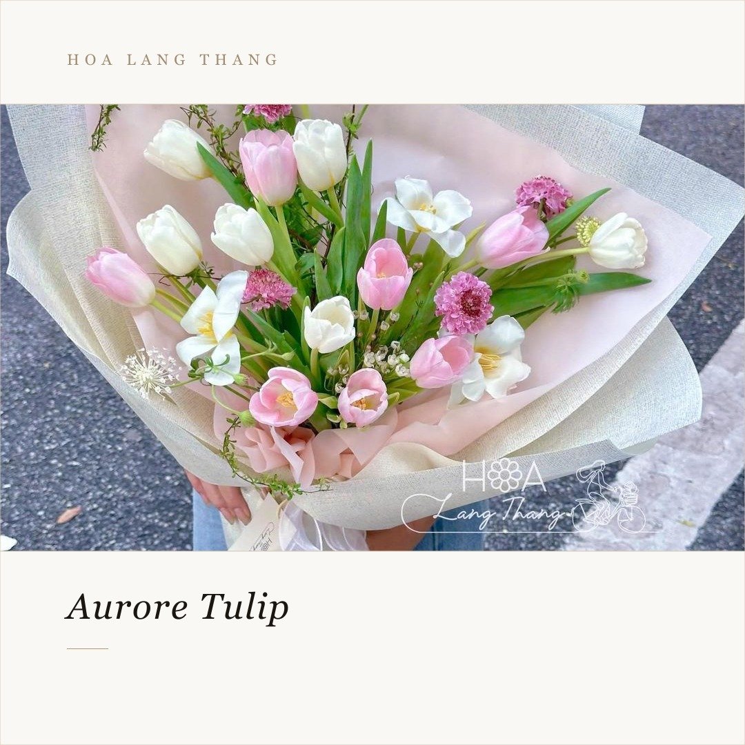 Bó hoa Aurore Tulip gồm tulip và hoa khác, dịu dàng và tươi mới