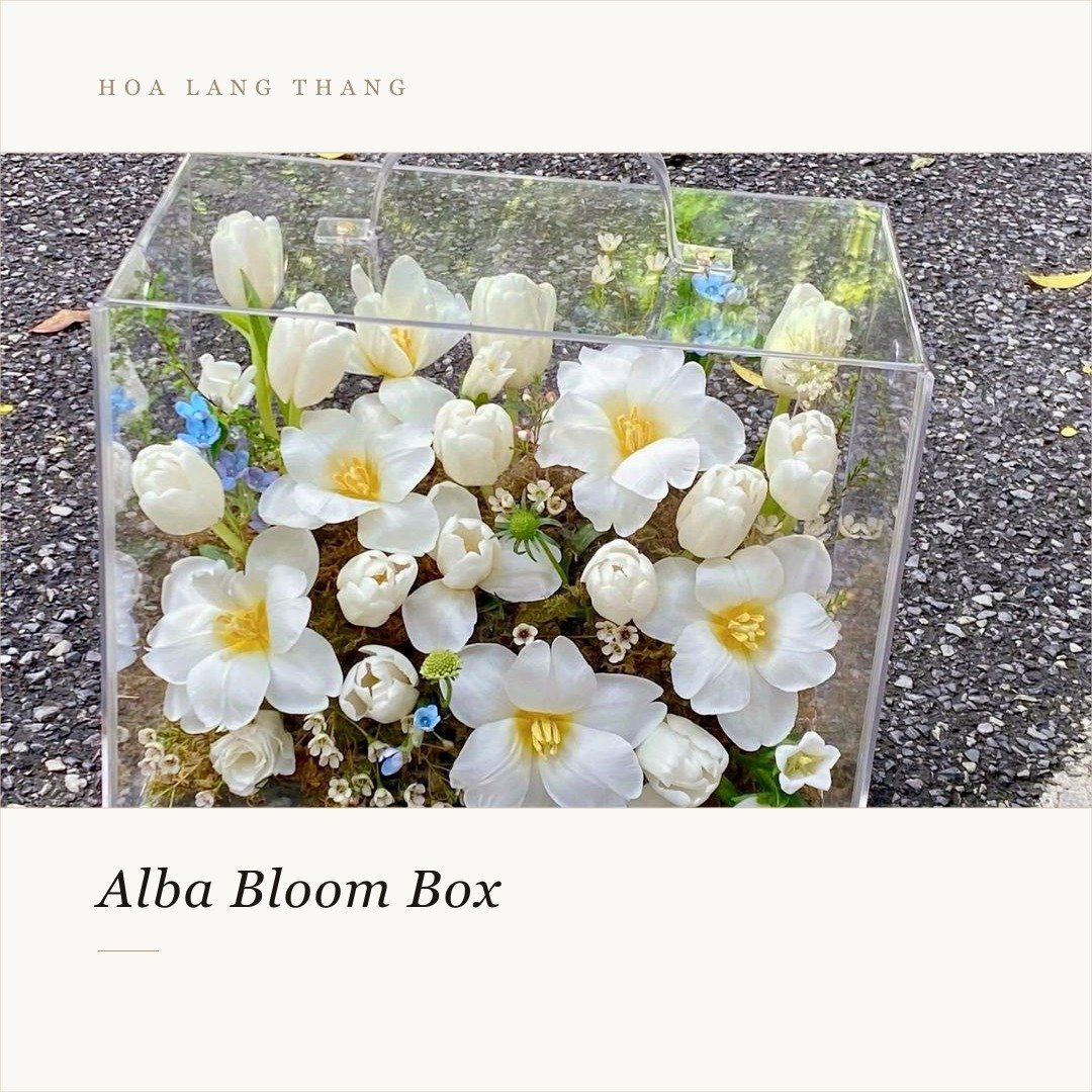 Hộp hoa Alba Bloom Box với hoa trắng nở rộ, lý tưởng cho trang trí