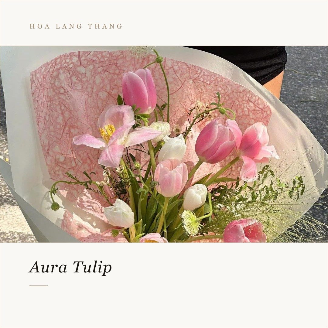Bó hoa tulip với nhiều màu sắc tươi sáng, cắm đẹp mắt