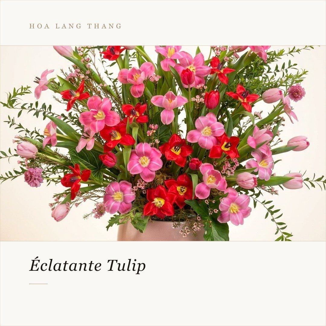 Bó hoa tulip và <a href=