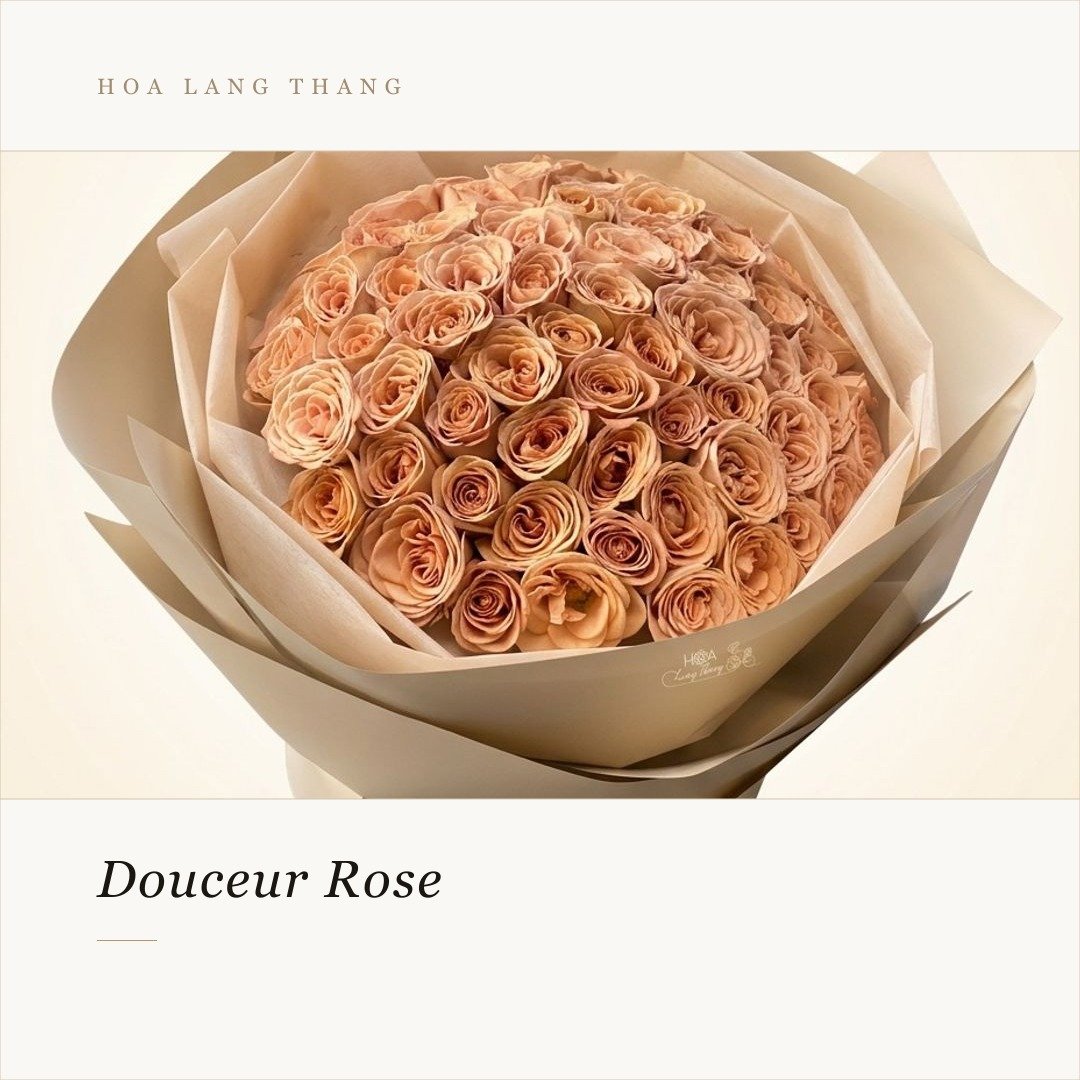 Bó hoa hồng Douceur Rose kiểu cắm tròn, màu sắc nhẹ nhàng