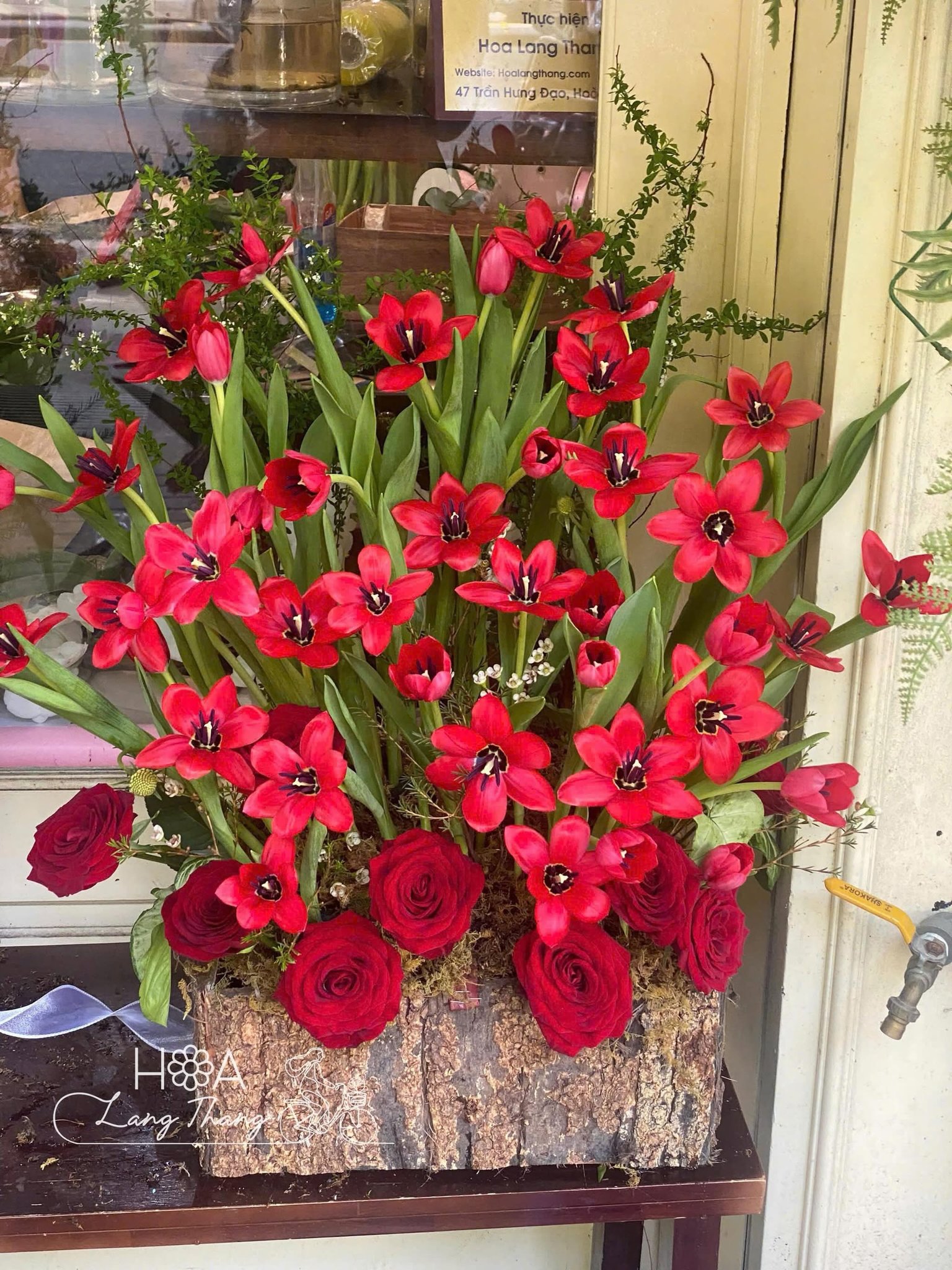 Sắc đỏ của tulip không phô trương như hồng nhung, nhưng lại mang một sức hút kiêu kỳ và nồng nàn khó tả. ❤️🌷