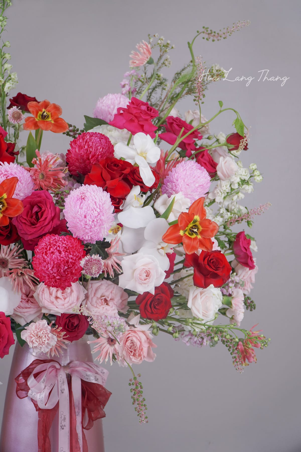Alba Orchid - lan ho diep gia bao nhieu 2026 | Hoa Lang Thang