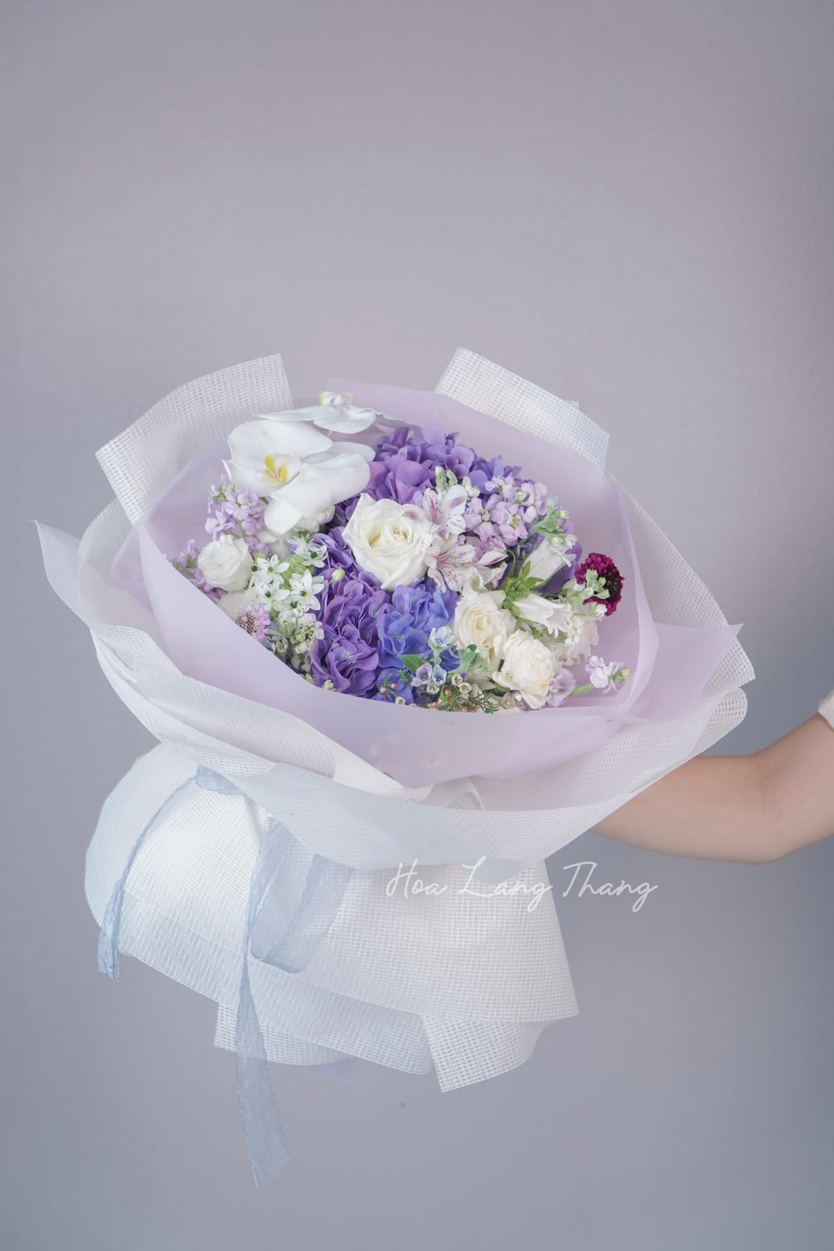 Amara Rose - hoa anemone trang y nghia | Hoa Lang Thang