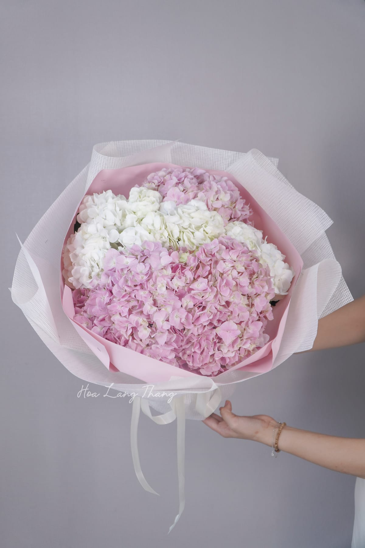 Azure Bloom - bo cam chuong do tang vo | Hoa Lang Thang