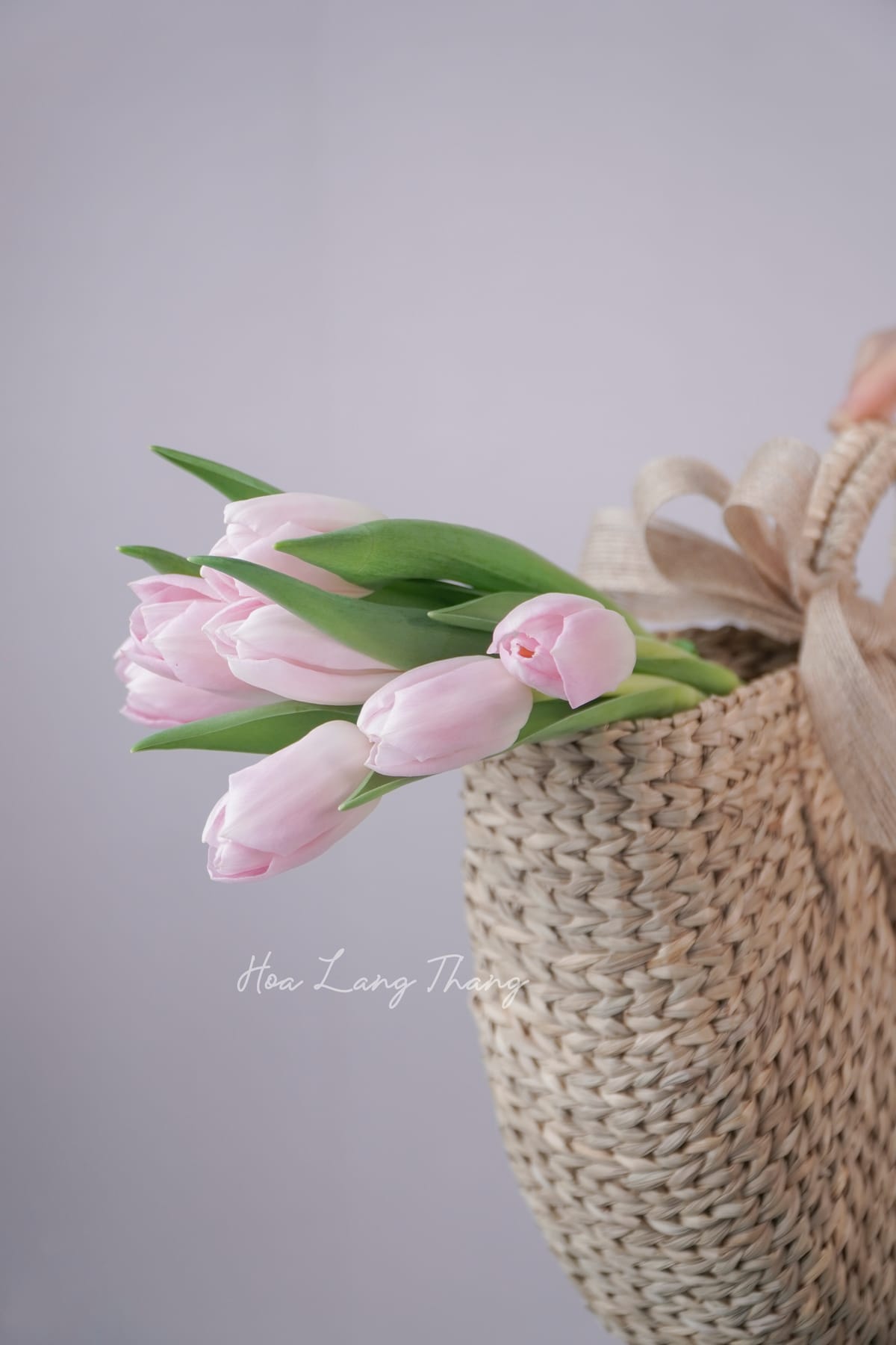 Éclat Tulip - hoa tang ong ba sinh nhat | Hoa Lang Thang