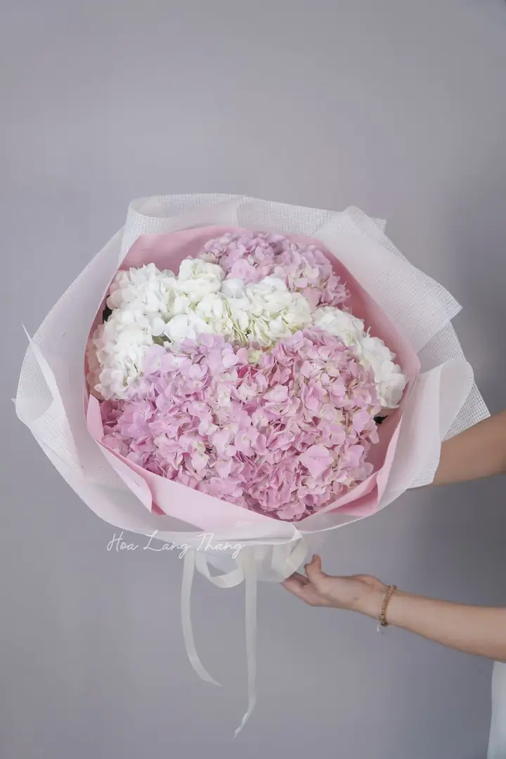Mua <a href=