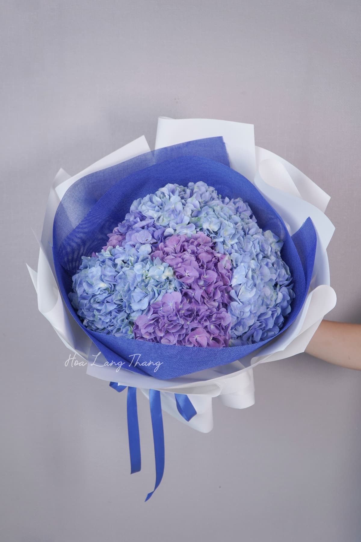 Bó tú câu viền xanh Xanh