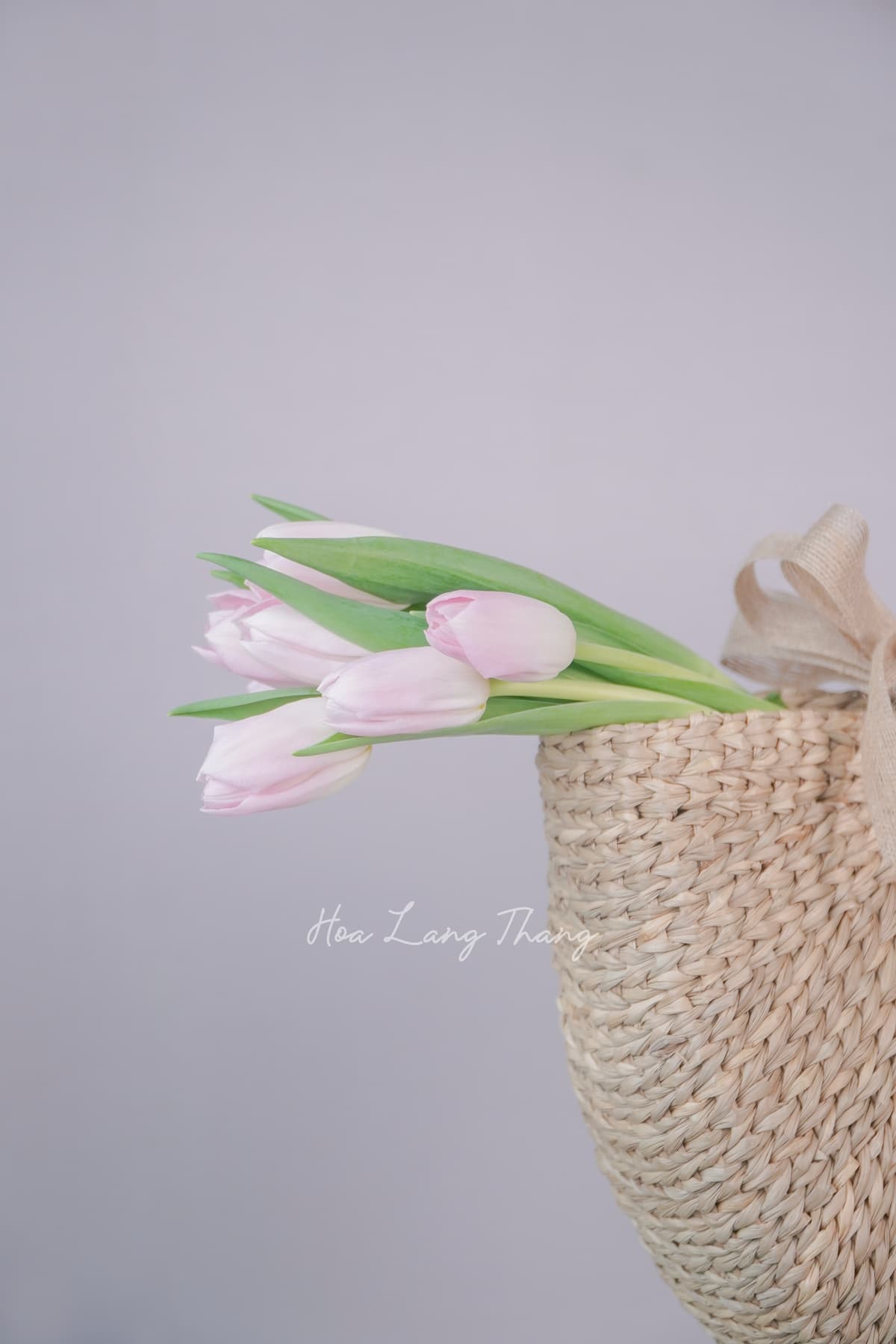 Hoa tươi Hoa Lang Thang — Hoa Tặng Đối Tác Âu Mỹ — Kinh Doanh Toàn Cầu Với Chuẩn Mực Quốc Tế