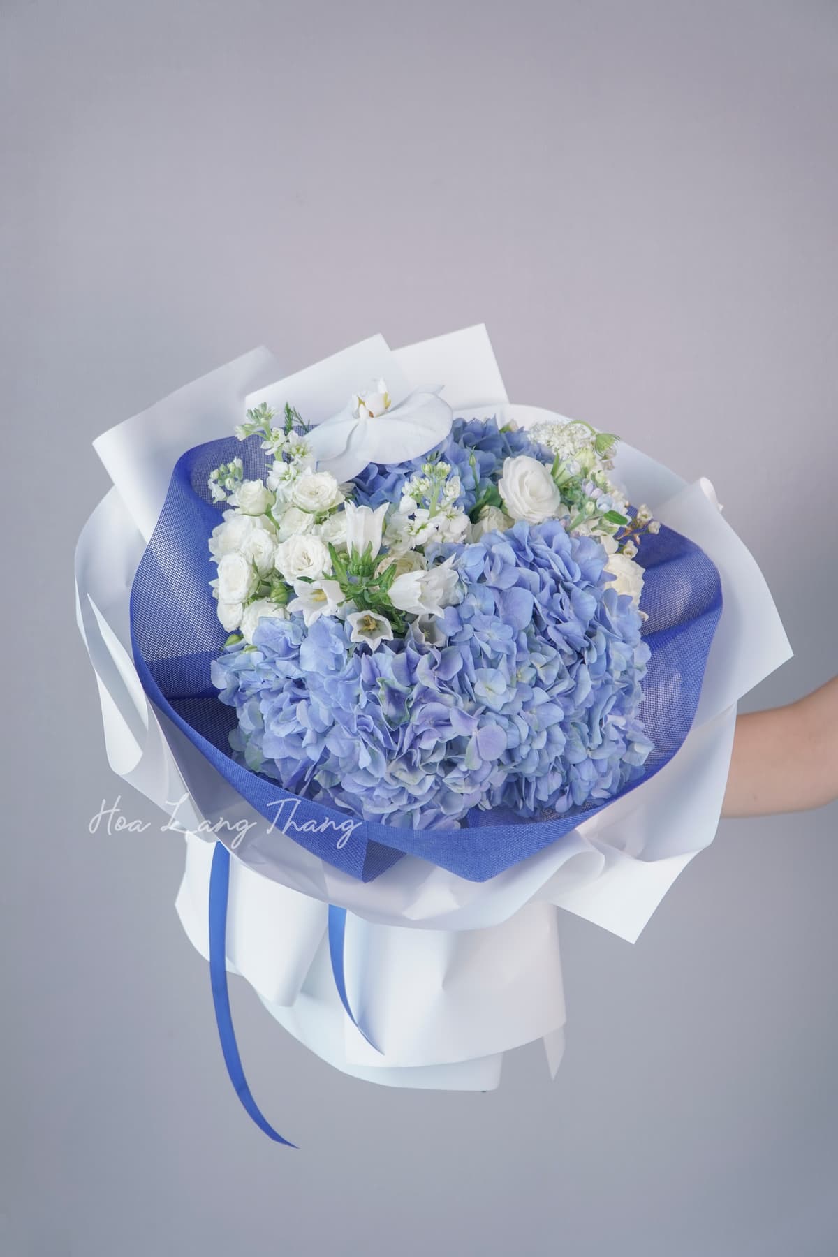 Hoa tươi Hoa Lang Thang — Hoa Tulip Tặng 8/3 Ý Nghĩa Gì — Cách Chọn Tulip Nhập Khẩu Tại Hà Nội